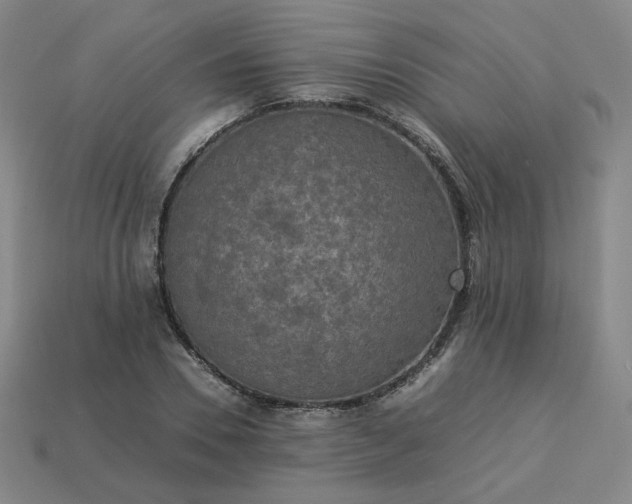 X0000114090930200910191600