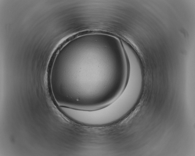X0000114090932200910191600
