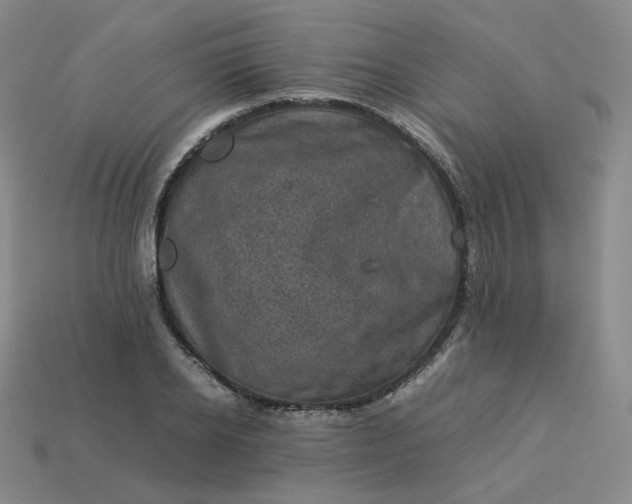 X0000114090934200910191600