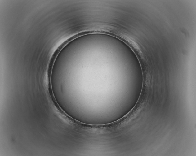 X0000114090936200910191600