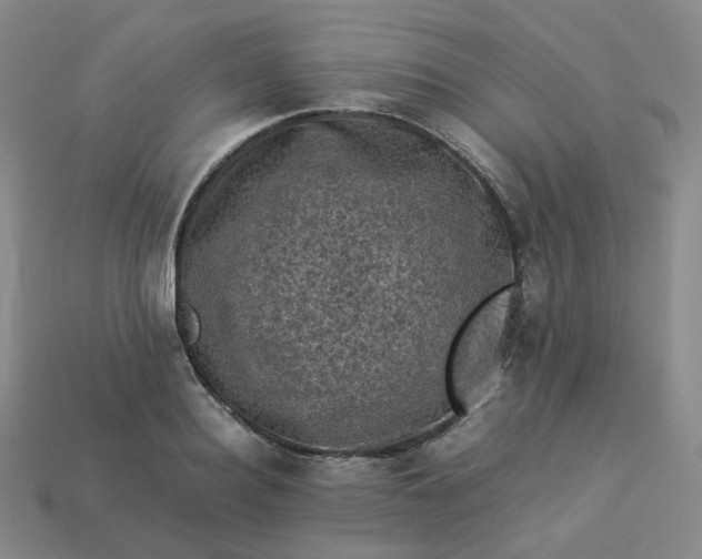 X0000114090940200910191600