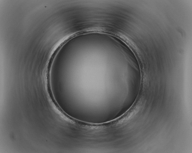 X0000114090941200910191600