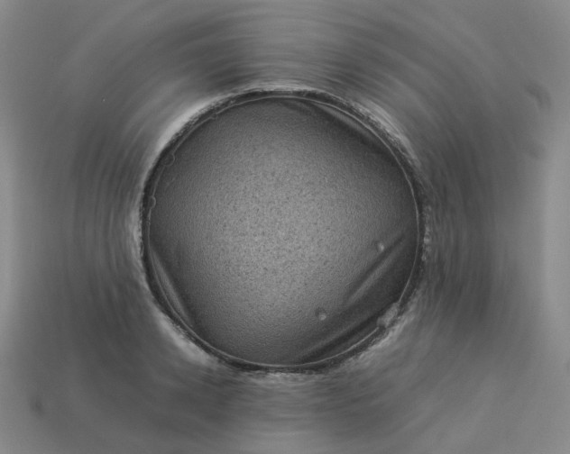 X0000114090942200910191600