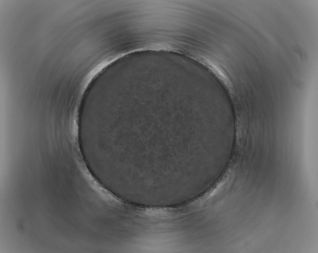 X0000114090944200910191600