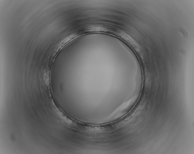 X0000114090945200910191600