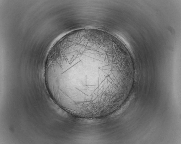 X0000114090948200910191600