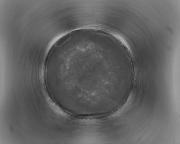X0000114090952200910191600