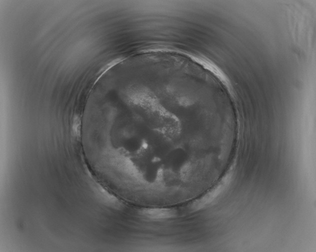 X0000114090953200910191600
