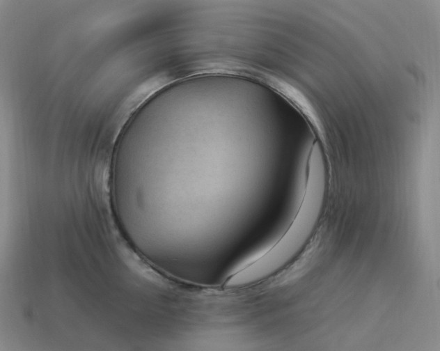 X0000114090954200910191600