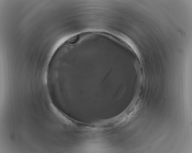 X0000114090958200910191600
