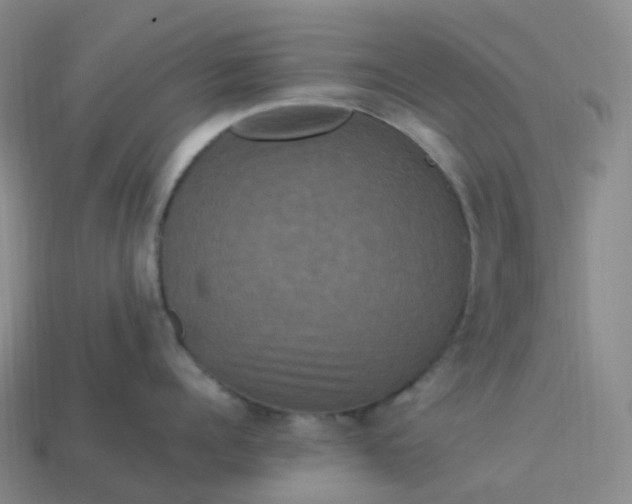 X0000114090960200910191600