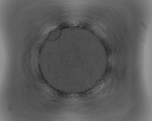 X0000114090961200910191559