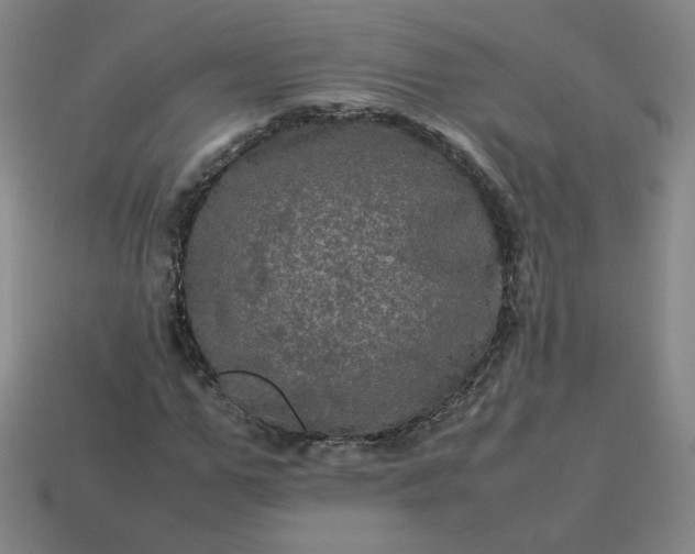 X0000114090967200910191559