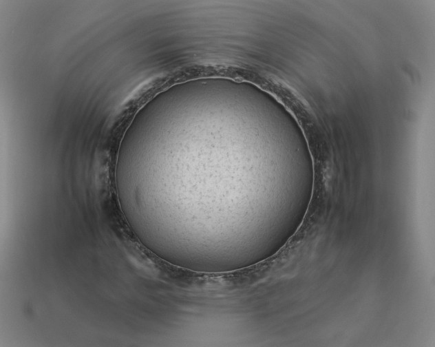 X0000114090968200910191559