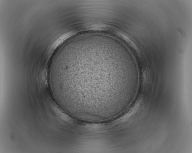 X0000114090970200910191559