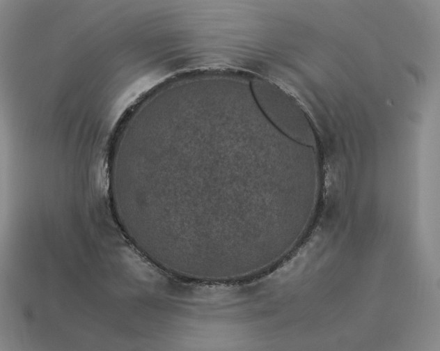 X0000114090973200910191559