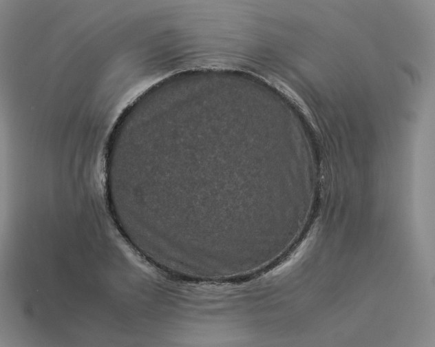 X0000114090981200910191559