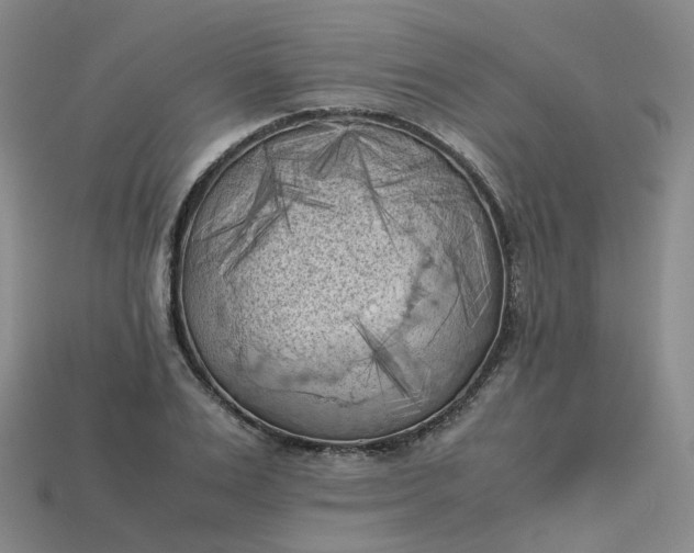X0000114090983200910191559