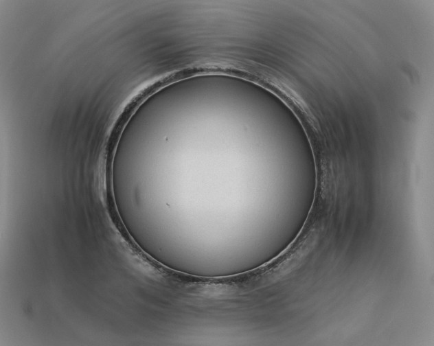 X0000114090984200910191559