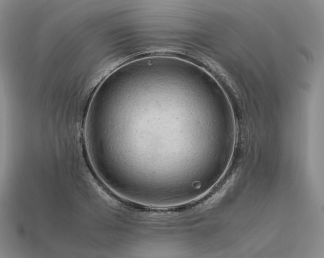 X0000114090985200910191559