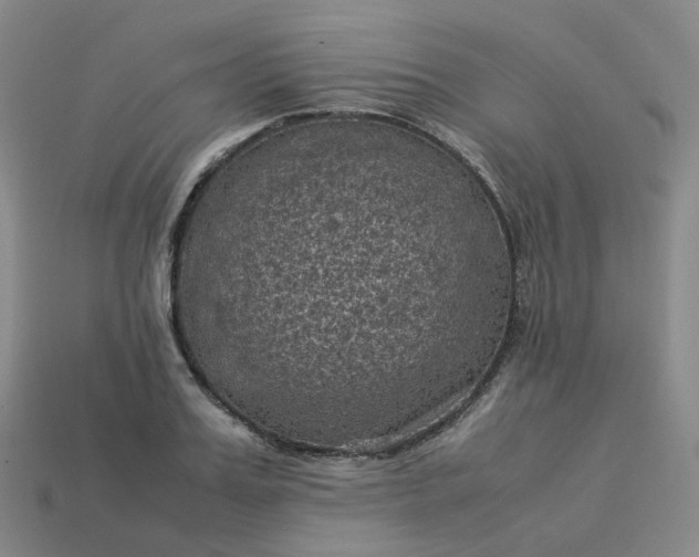 X0000114090987200910191559