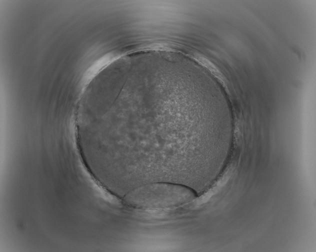 X0000114090989200910191559