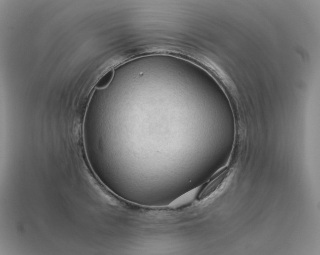 X0000114090993200910191559