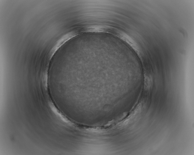X0000114090994200910191559