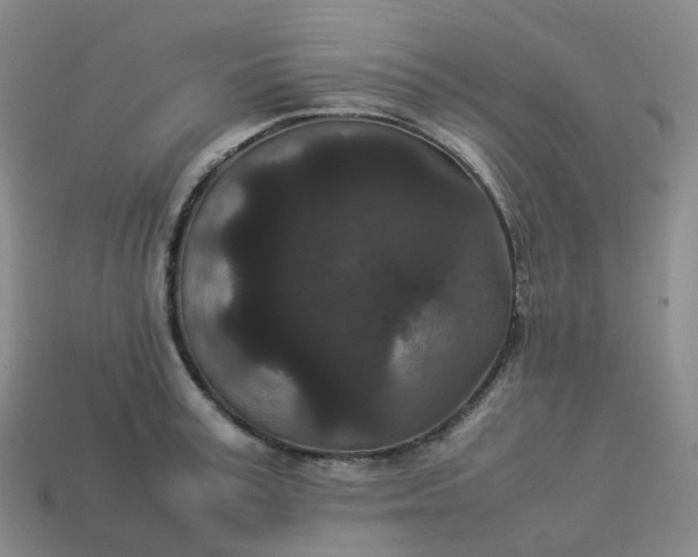 X0000114090995200910191559