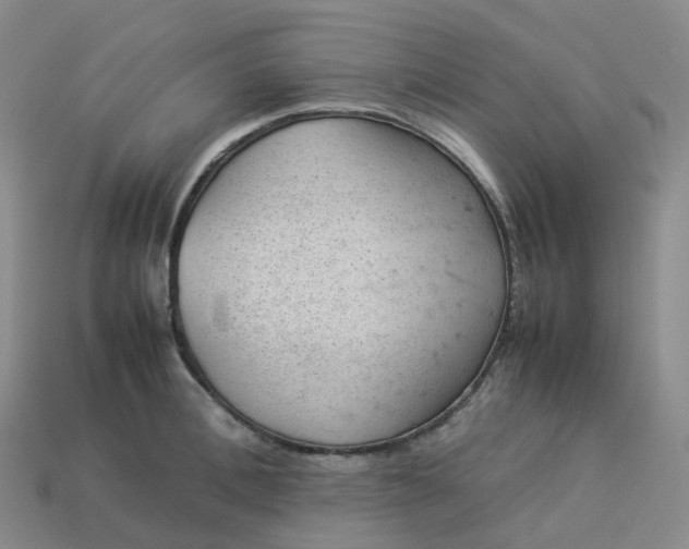 X0000114090996200910191559