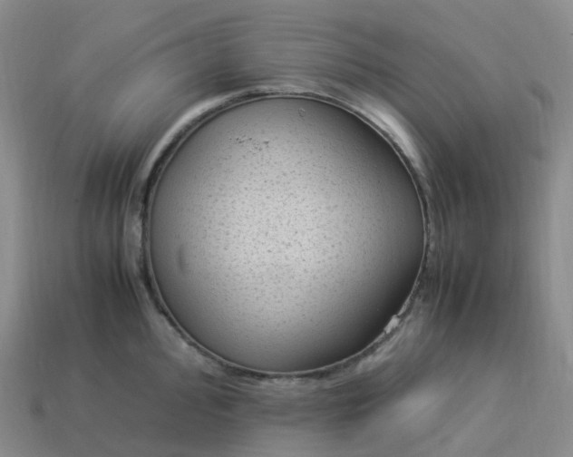 X0000114091000200910191559