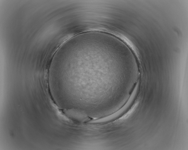 X0000114091001200910191559