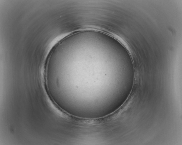 X0000114091003200910191559
