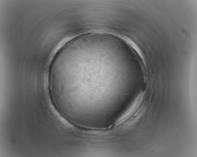 X0000114091005200910191559