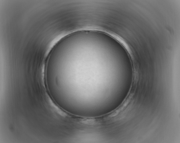 X0000114091006200910191559