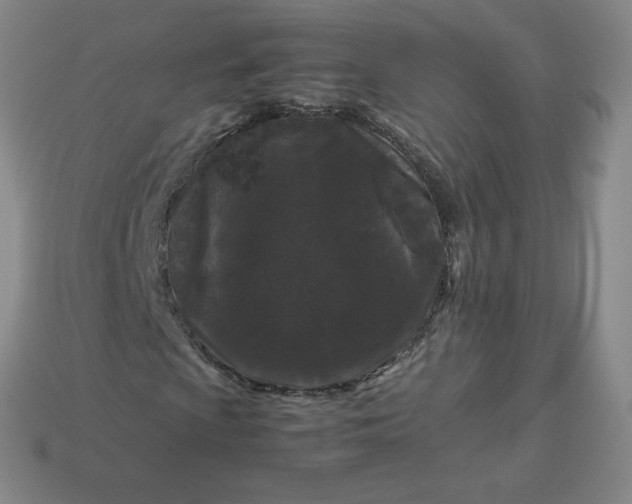 X0000114091009200910191558