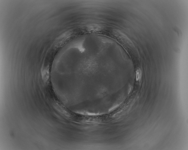 X0000114091011200910191558