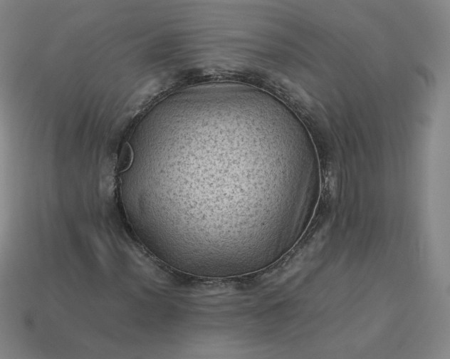X0000114091012200910191558