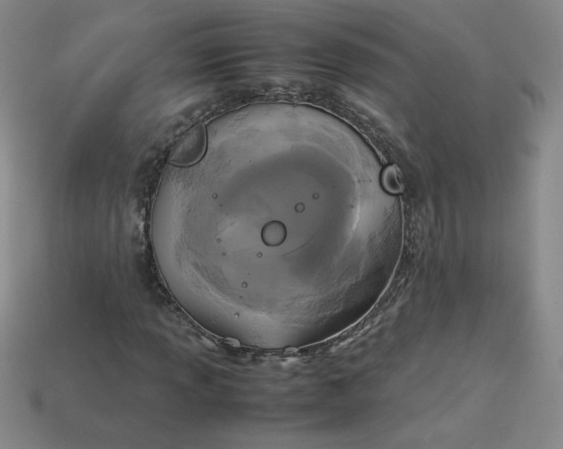 X0000114091013200910191558
