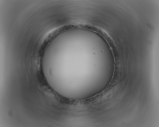 X0000114091016200910191558