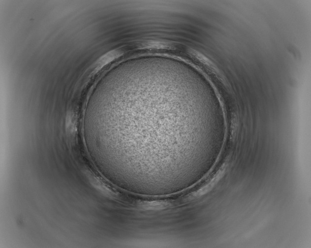 X0000114091017200910191558