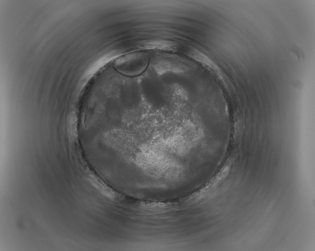 X0000114091019200910191558