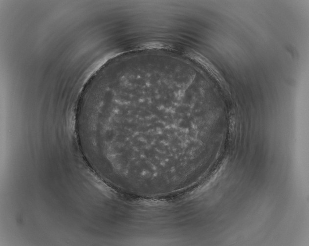 X0000114091023200910191558