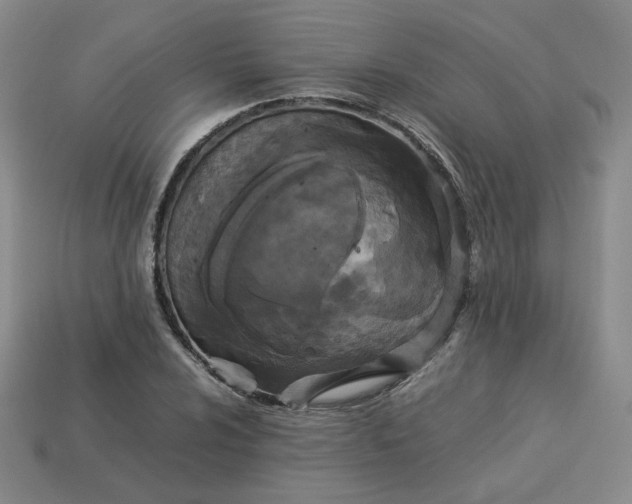 X0000114091024200910191558