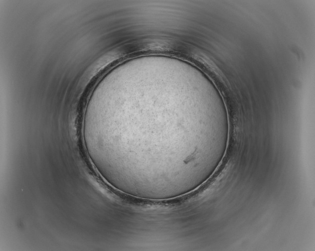 X0000114091026200910191558