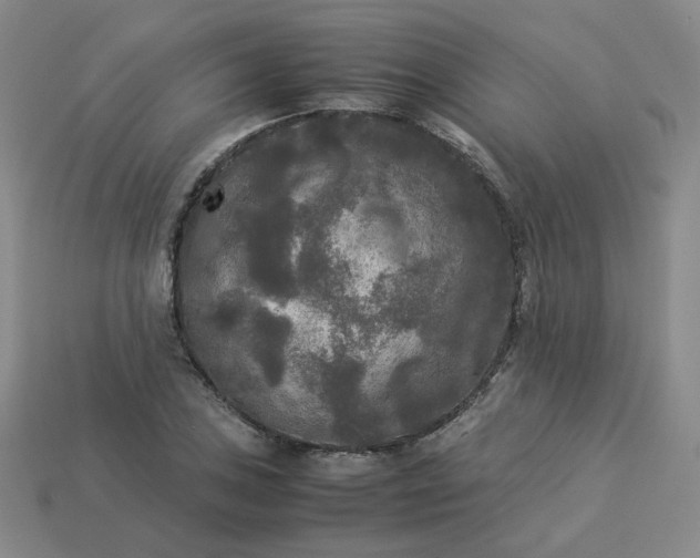 X0000114091027200910191558
