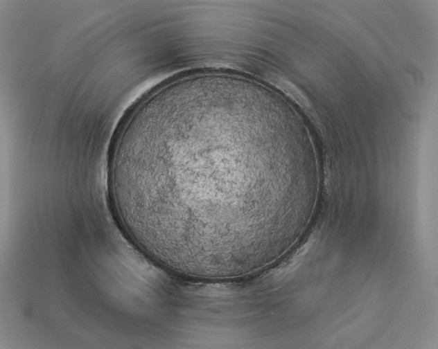 X0000114091028200910191558