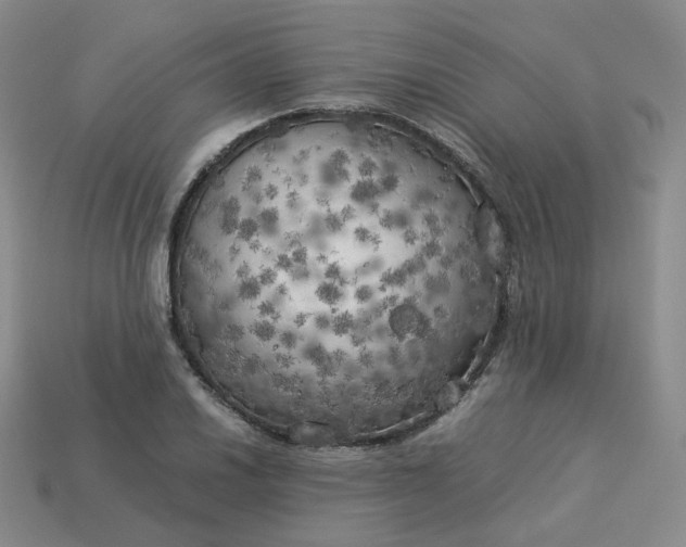 X0000114091030200910191558