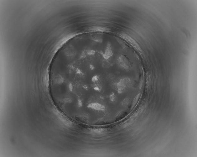 X0000114091031200910191558