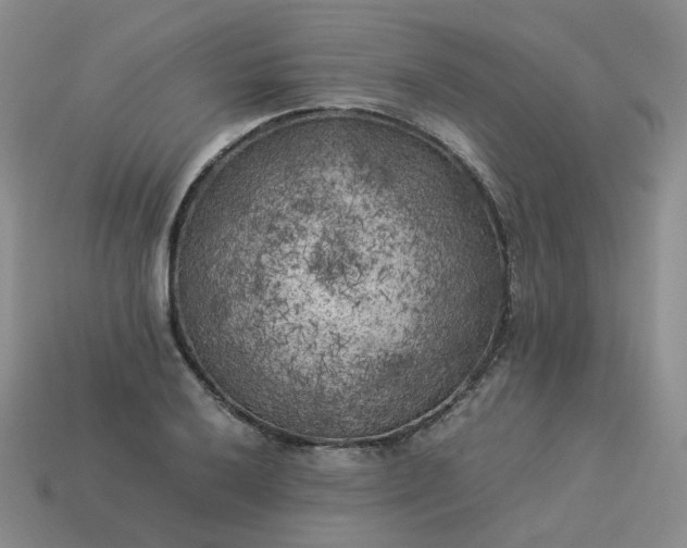 X0000114091032200910191558